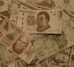 inflación se aceleró en diciembre PARA EL CONSUMIDOR, BILLETES EN MONEDA MEXICANA: ...